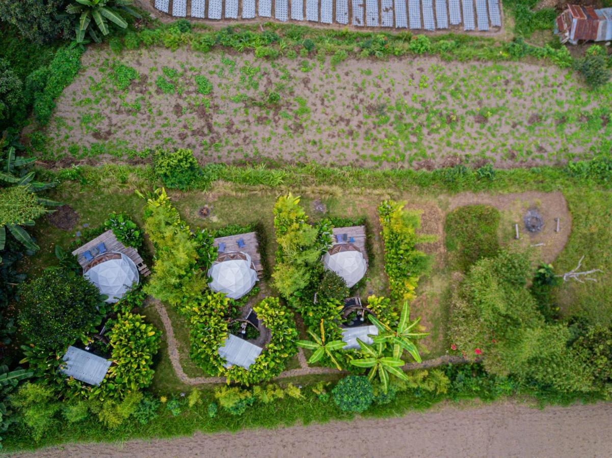 Cloud Hills Glamping Hotel Kintamani Eksteriør billede