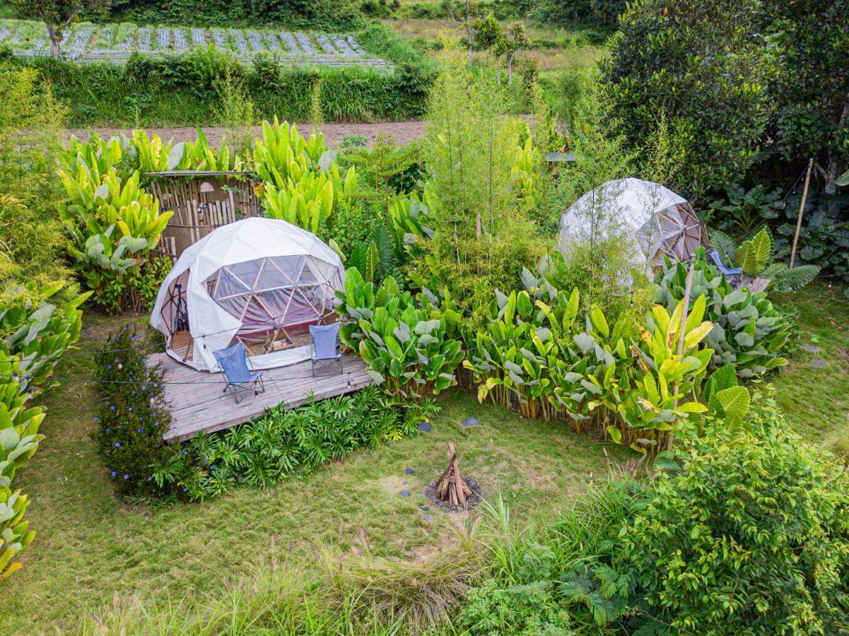 Cloud Hills Glamping Hotel Kintamani Eksteriør billede