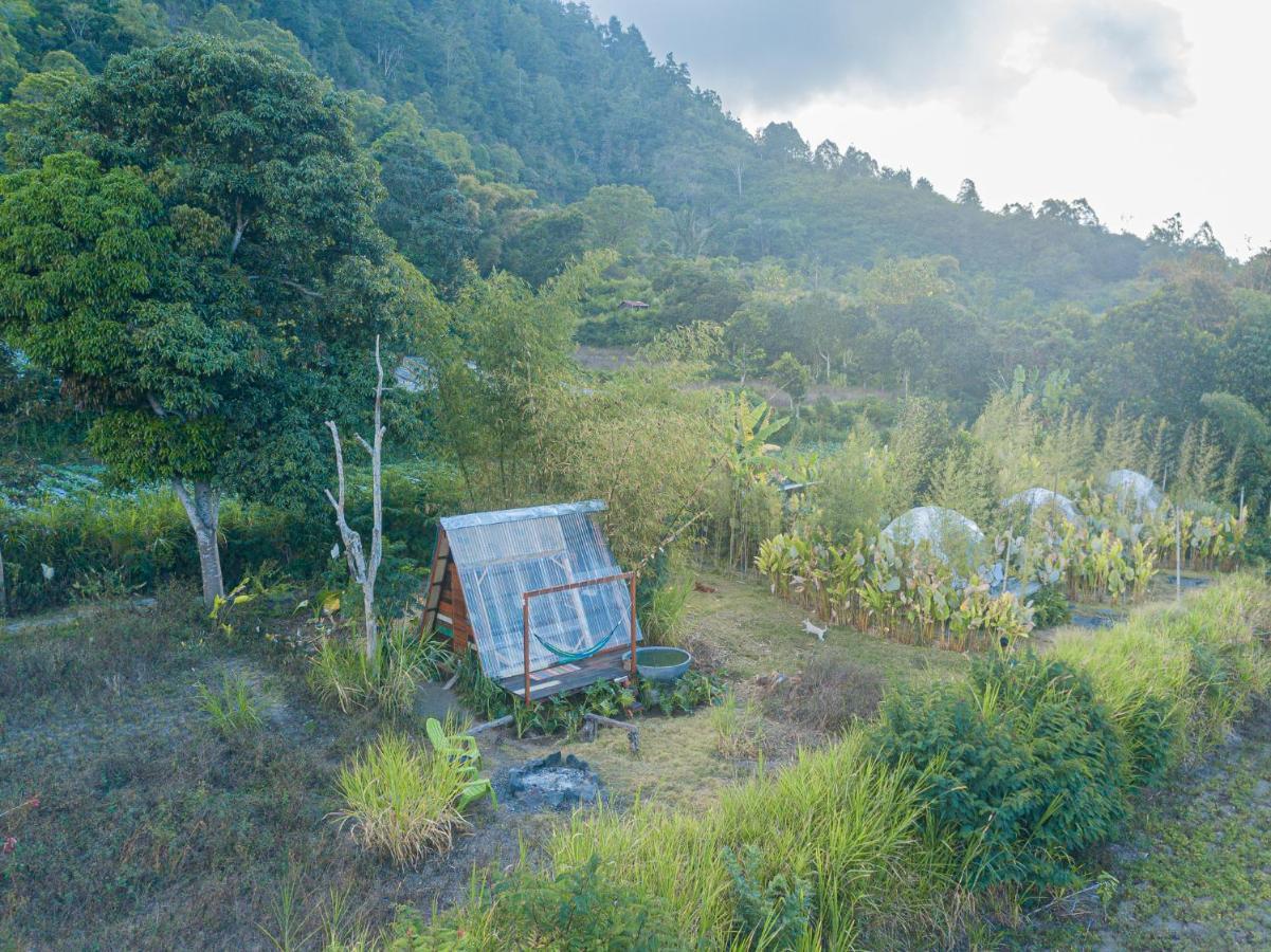 Cloud Hills Glamping Hotel Kintamani Eksteriør billede